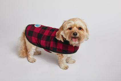 Embroidered Port Authority® Pet Fleece Jacket