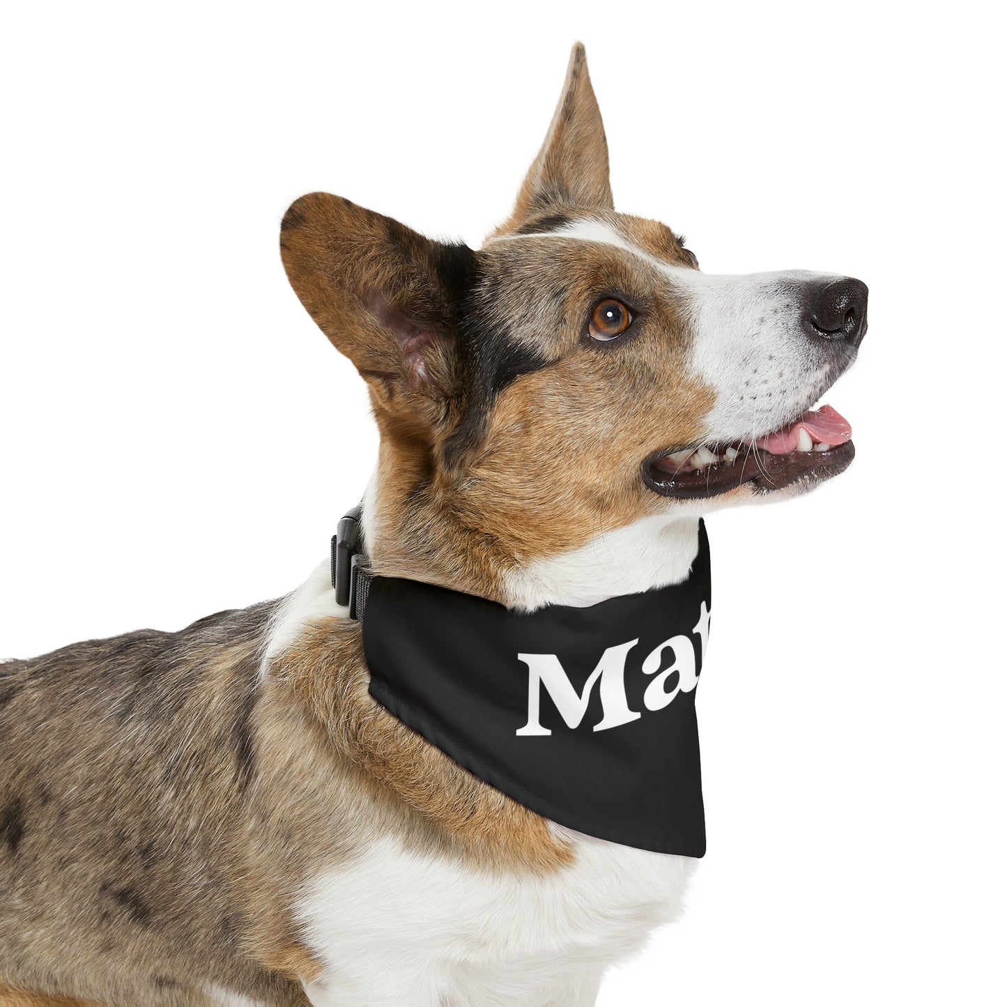 Pet Bandana Collar