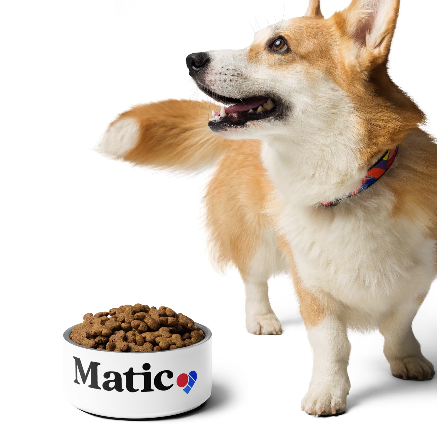 Pet bowl - Matic Store